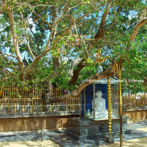 The Ashtapala Bodhi Tree Shrine at Kirivehera