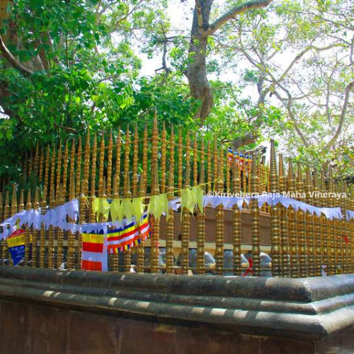 The Ashtapala Bodhi Tree Shrine at Kirivehera