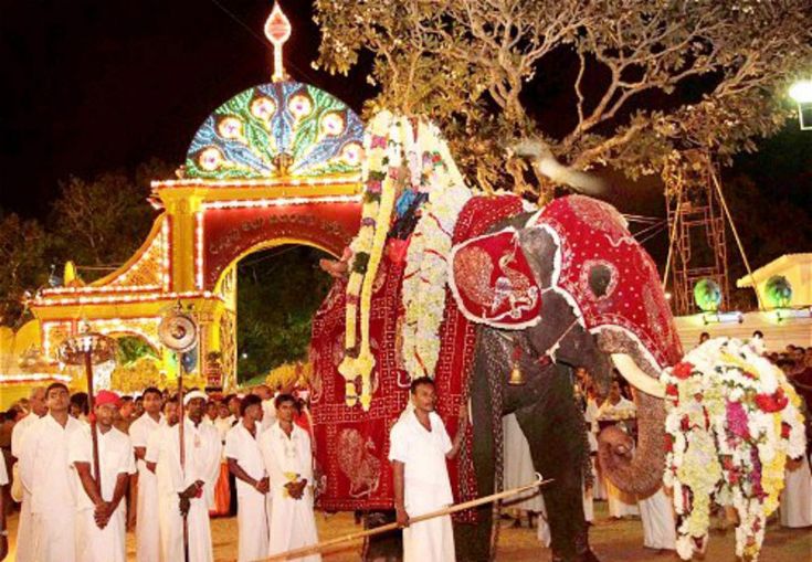 Peraherra Procession